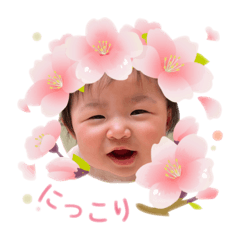 Mikan_20250504103520