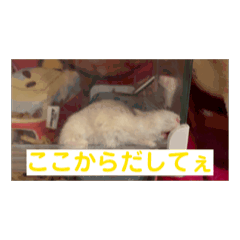 aoi_20250504121301