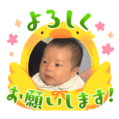 RENA_20250504105854