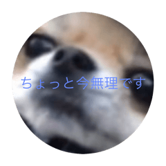 u_20250504113504