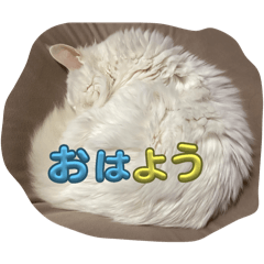 itsuki_20250504113537