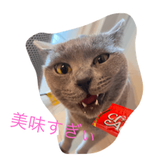 moufu_20250504113639