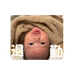 nanami_20250504121815