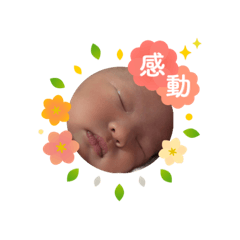 momotin_20250504122631