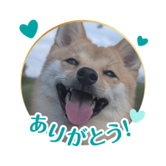 natsu_20250504125427