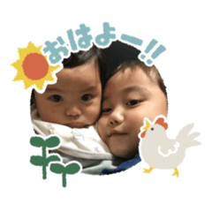 piyo_20250504124820