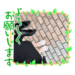 m_20250504131611