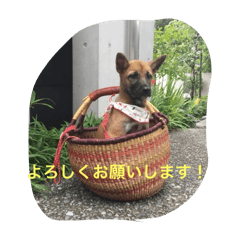 miyumiyu_20250504131704