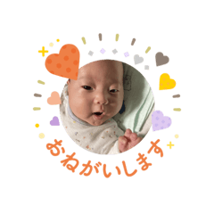 mii_20250504114550
