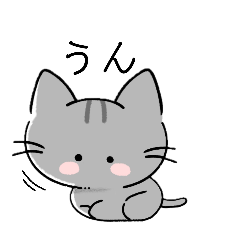 cat,s reply