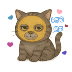 Pam wanna have more cats._20250503210850
