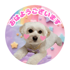 rina_20250504140838