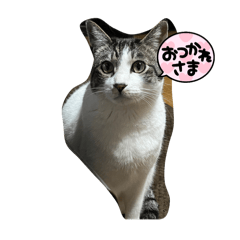 anan_20250504154521