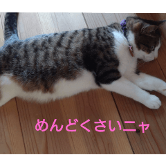 una_20250504155953