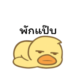 เป็ดง่วงเป็ดไม่ไหว