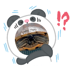 咕ㄚ呱呱的嗶嗶烏龜