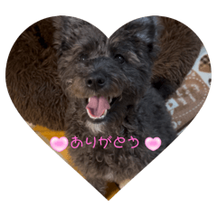 MAYU_20250504150137