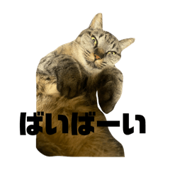 s_20250504151024