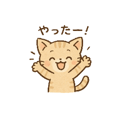 Rain or shine, it's a kitty day