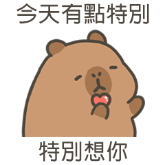 卡比巴拉肥水豚特別想你