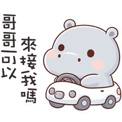 (‘⊙д-)河馬寶寶找哥哥