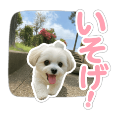 yuma_20250504165850