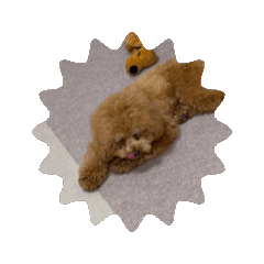 sakiii_20250504151400