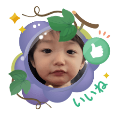 taro_20250504174320