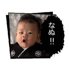 piyoko_20250504202122