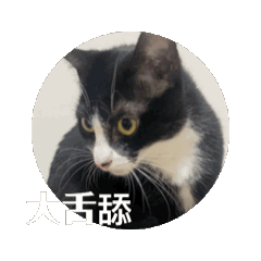 捌億 EP02