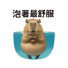 TangYuan the Capybara Soaking is Life