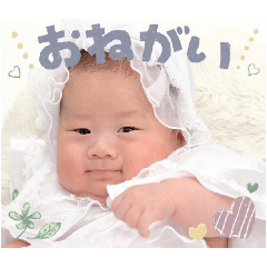 chii_20250504160107