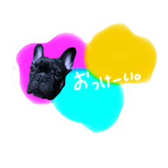 rei_20250503043457