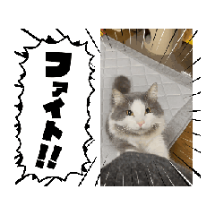 一番の仲良し