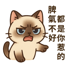 小米&多比