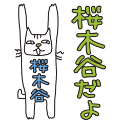 Only for Mr. Sakiya Banzai Cat