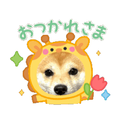 nana.knm