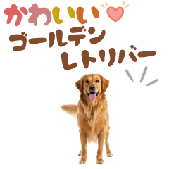 DOG GOOD Sticker72