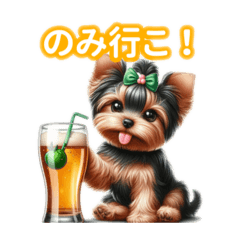 Simply adorable Yorkshire Terrier2