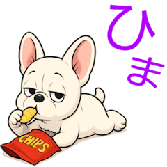 Cute! French Bulldog