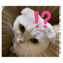 miruchan and himechan