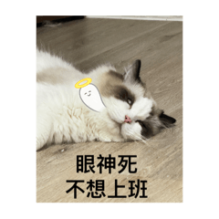 魯魯一家