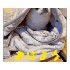 baby_20250504231620