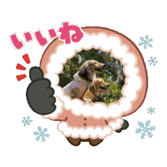 rin_20250504223513