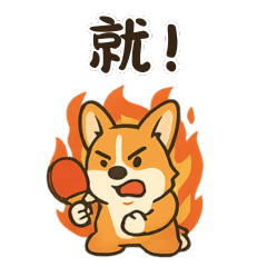 Cooper酷寶桌球系列2