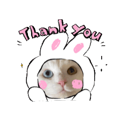 neko_20250505083641