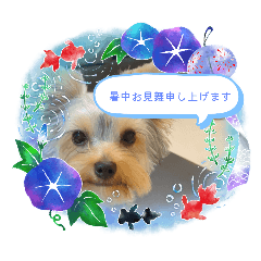 aya_20250504185009