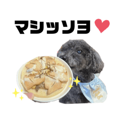 saori_20250504185203