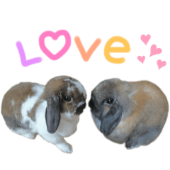 Chloe_20250503165800