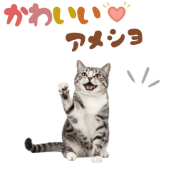 CAT GOOD Sticker10